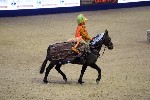 Quadrille - 00081